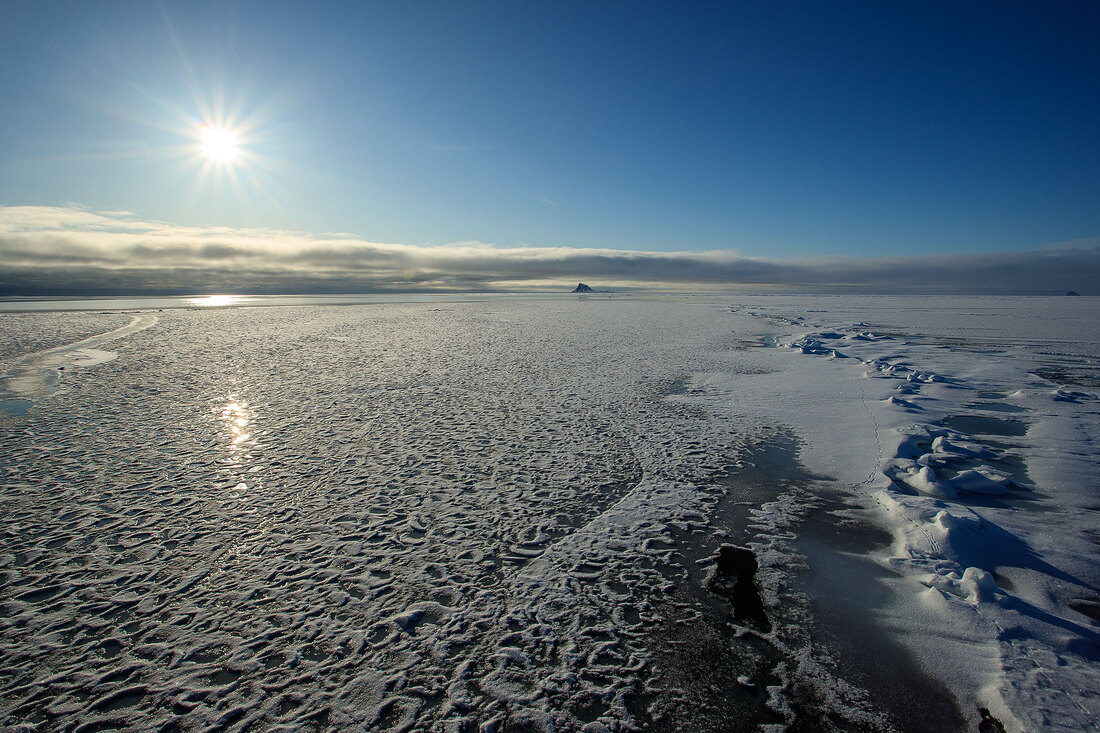 Sea ice north of Nordaustlandet, Svalbard by Bret Charman
